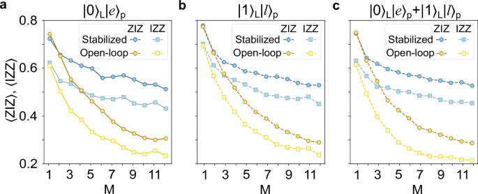 Hybrid entanglement and bit-flip error correction in a scalable quantum ...