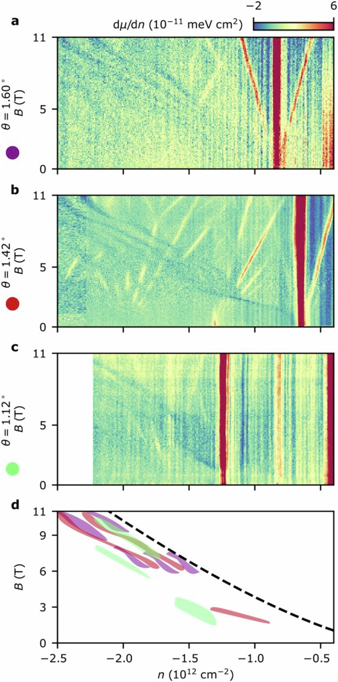 Magnetic Hofstadter cascade in a twisted semiconductor homobilayer ...