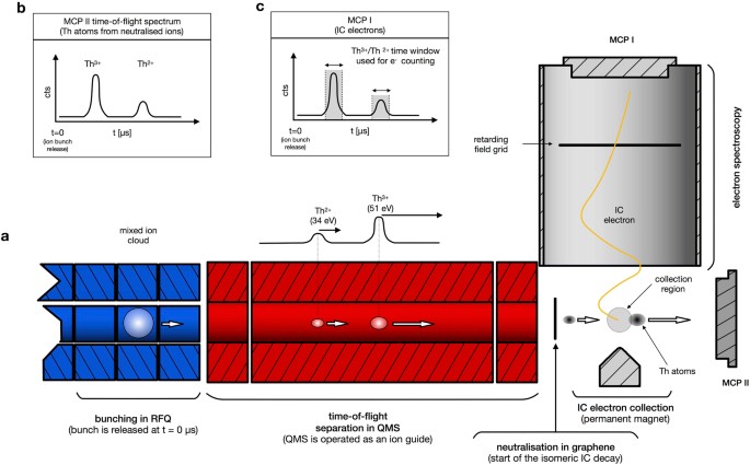extended data figure 5