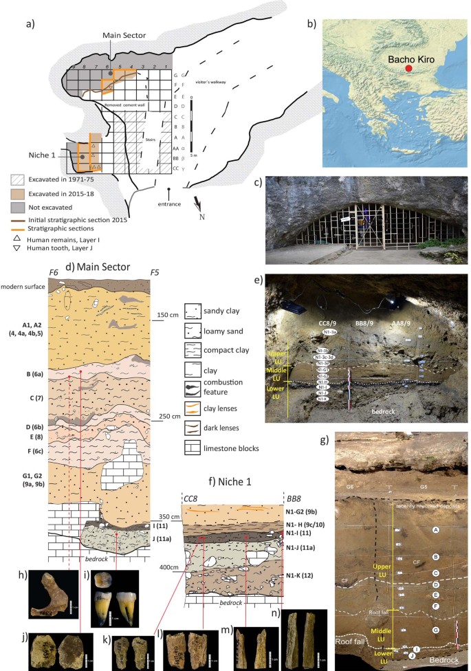 41586_2020_2259_Fig4_ESM.jpg