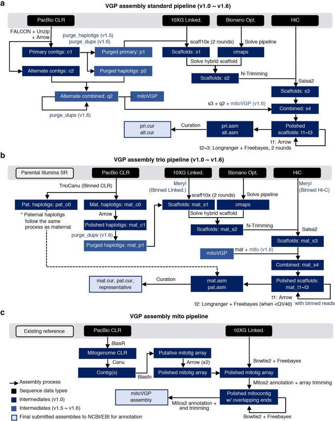 Assembly Pipeline