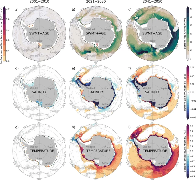 https://media.springernature.com/lw685/springer-static/esm/art%3A10.1038%2Fs41586-023-05762-w/MediaObjects/41586_2023_5762_Fig12_ESM.jpg?as=webp