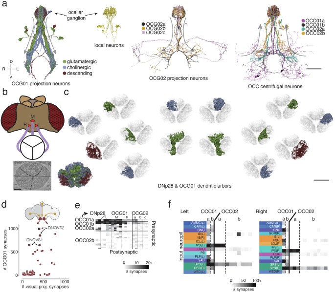 extended data figure 17