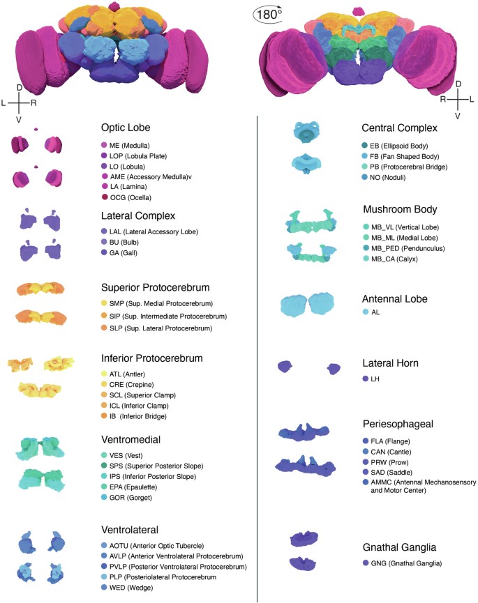 extended data figure 8