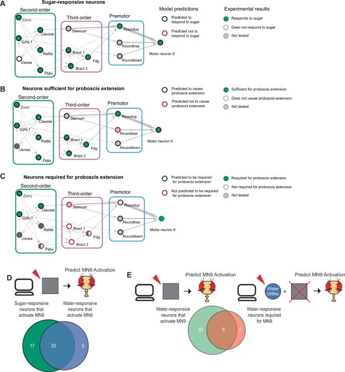 extended data figure 7