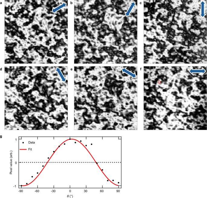 Nanoscale imaging and control of altermagnetism in MnTe | Nature