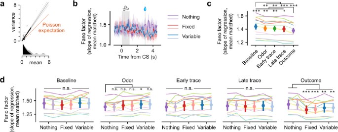 An opponent striatal circuit for distributional reinforcement learning ...