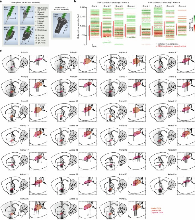 A neural mechanism for learning from delayed postingestive feedback ...