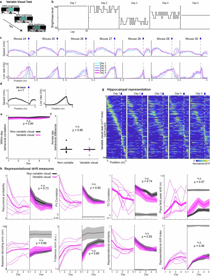 extended data figure 10