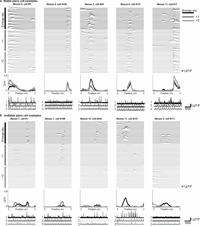 extended data figure 11