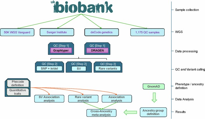 The Shift from Genetic Blueprints to Protein Realities