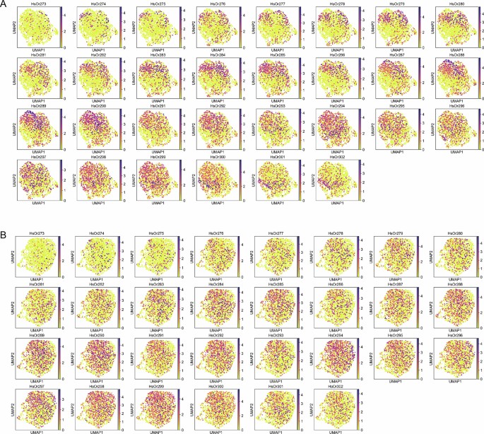 Osns Transcriptional interferences ensure one olfactory receptor per ant ...