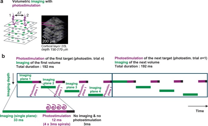 Connectivity underlying motor cortex activity during goal-directed ...