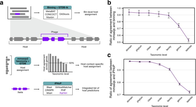 Long-read metagenomics reveals phage dynamics in the human gut ...