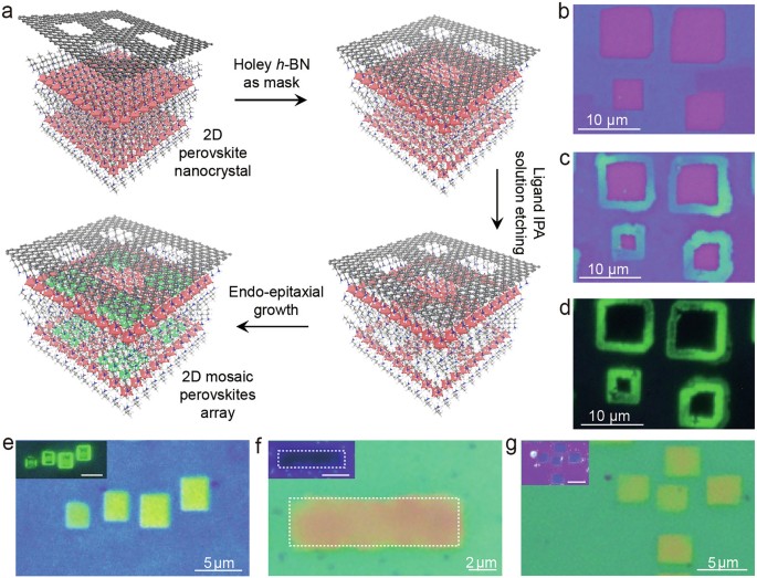Mosaic lateral heterostructures in two-dimensional perovskite | Nature