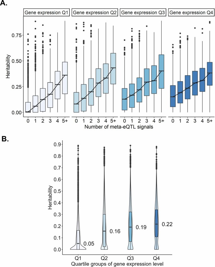 Adipose tissue eQTL meta-analysis highlights the contribution of ...