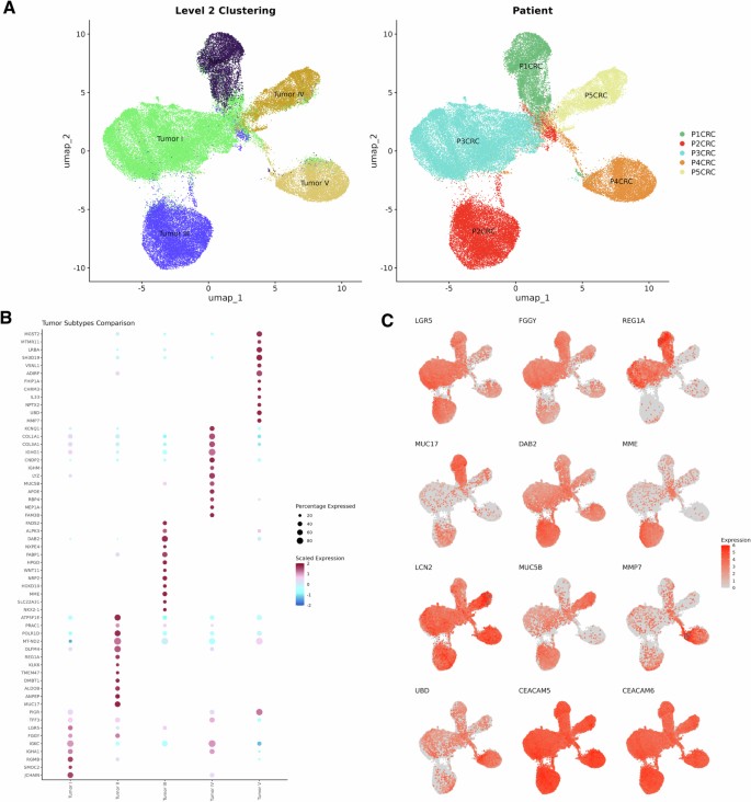 High-definition spatial transcriptomic profiling of immune cell ...