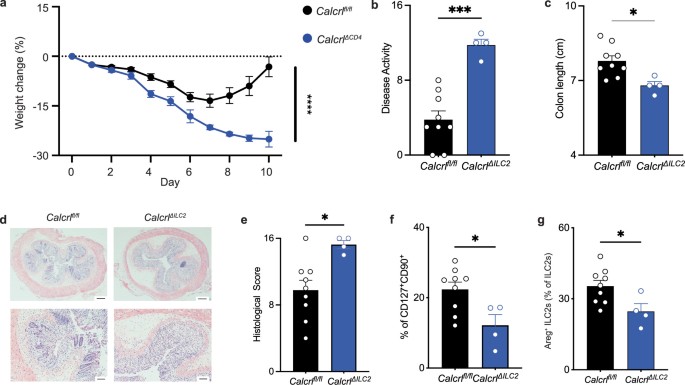 CGRP-related neuropeptide adrenomedullin 2 promotes tissue-protective ...