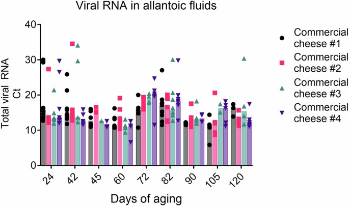 H5N1 influenza virus stability and transmission risk in raw milk and ...