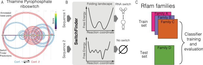 A systematic search for RNA structural switches across the human ...