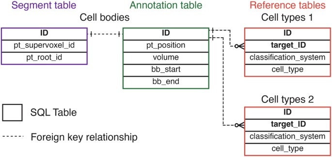 Annotation On Table Columns CAVE: Connectome Annotation Versioning Engine | Nature Methods
