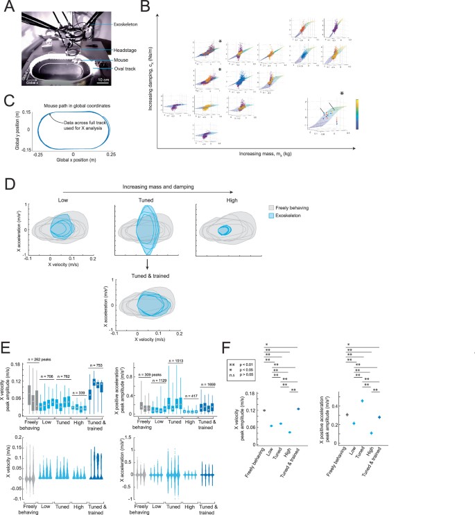 Brain-wide neural recordings in mice navigating physical spaces enabled ...