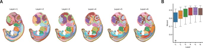 Interpretable spatially aware dimension reduction of spatial ...