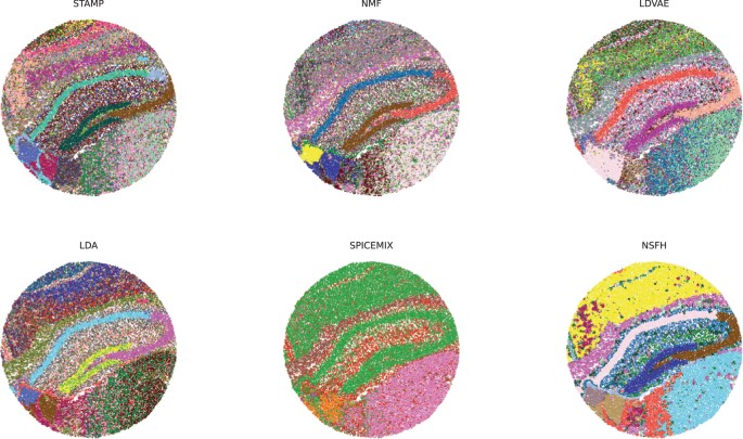 Interpretable spatially aware dimension reduction of spatial ...