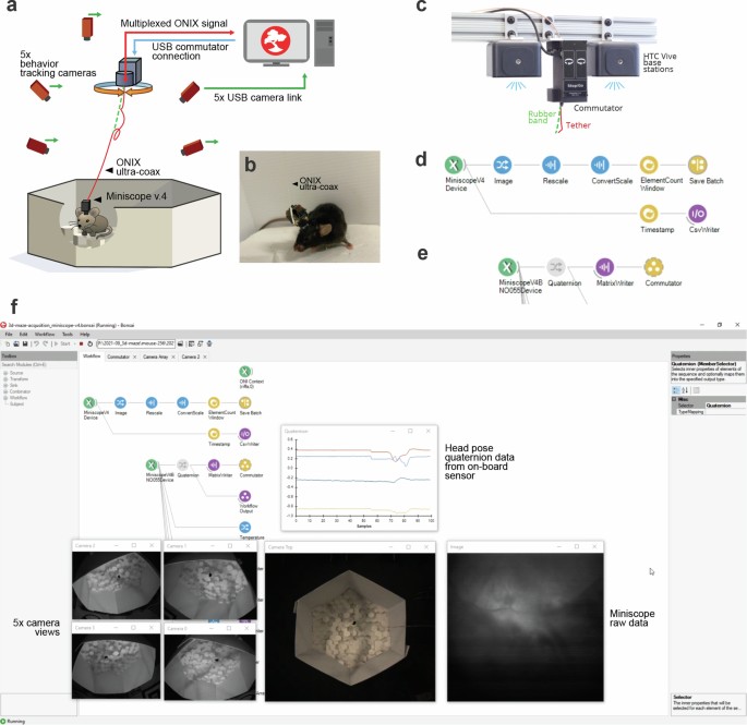 ONIX: a unified open-source platform for multimodal neural recording ...