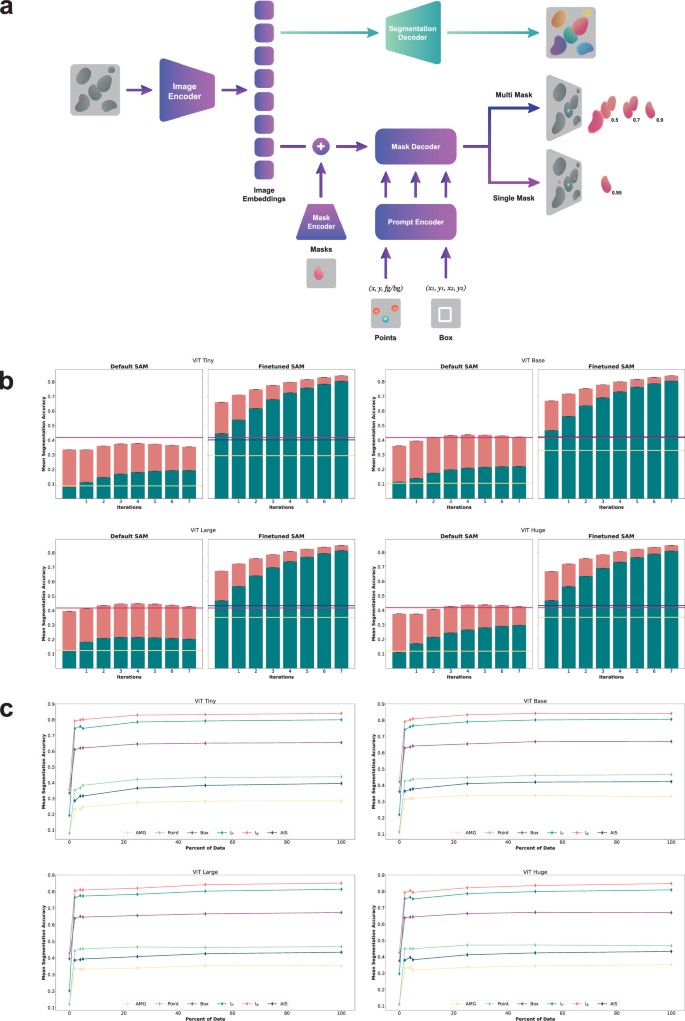 Segment Anything for Microscopy | Nature Methods