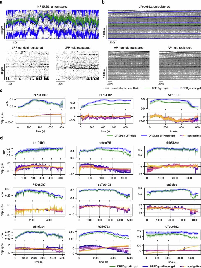 DREDge: robust motion correction for high-density extracellular ...