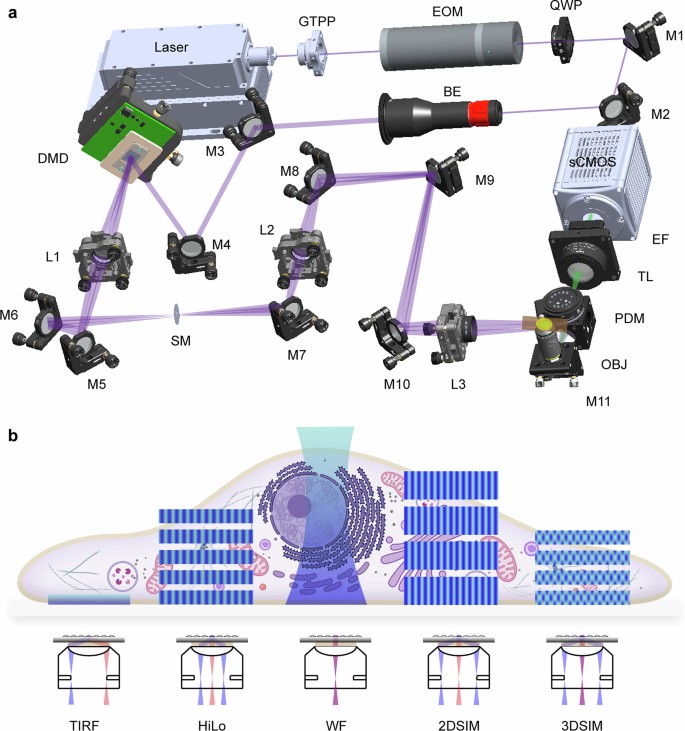 Dark-based optical sectioning assists background removal in ...