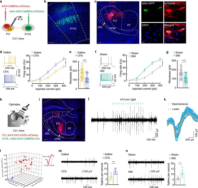extended data figure 10