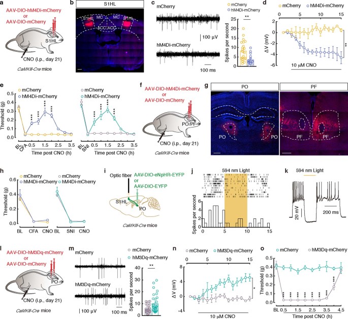 extended data figure 11
