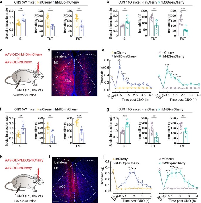 extended data figure 14