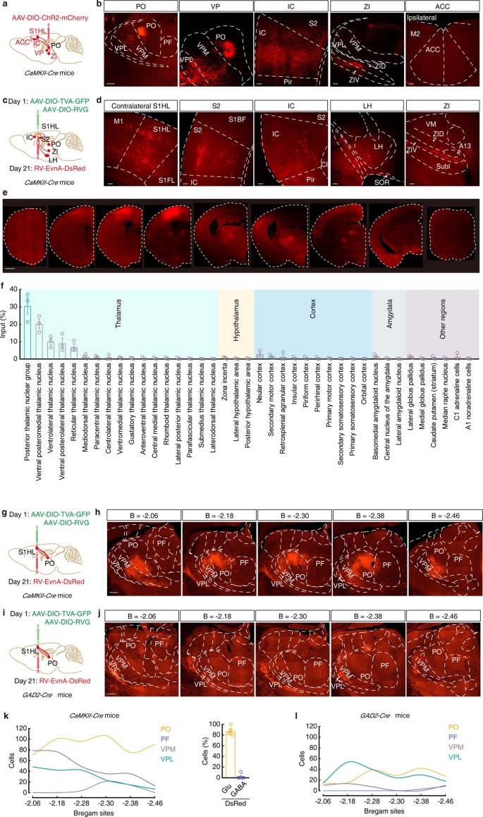 extended data figure 9