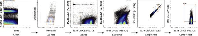 Identification of senescent, TREM2-expressing microglia in aging and ...