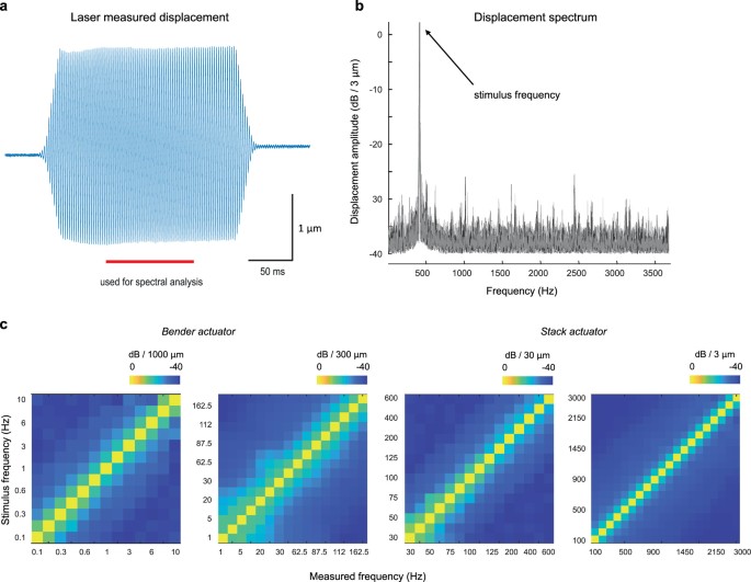Emergence of a brainstem somatosensory tonotopic map for substrate ...