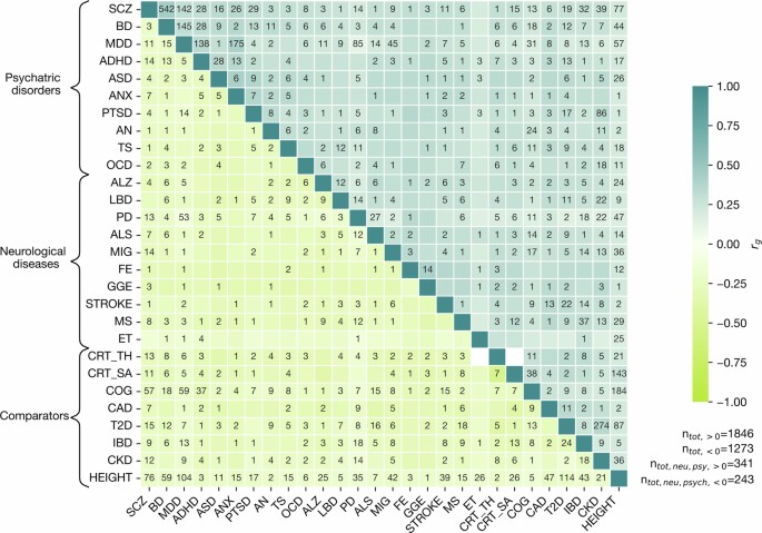 A genome-wide analysis of the shared genetic risk architecture of ...