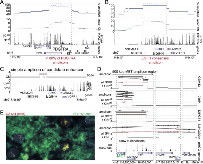 Structural variants shape driver combinations and outcomes in pediatric high-grade glioma