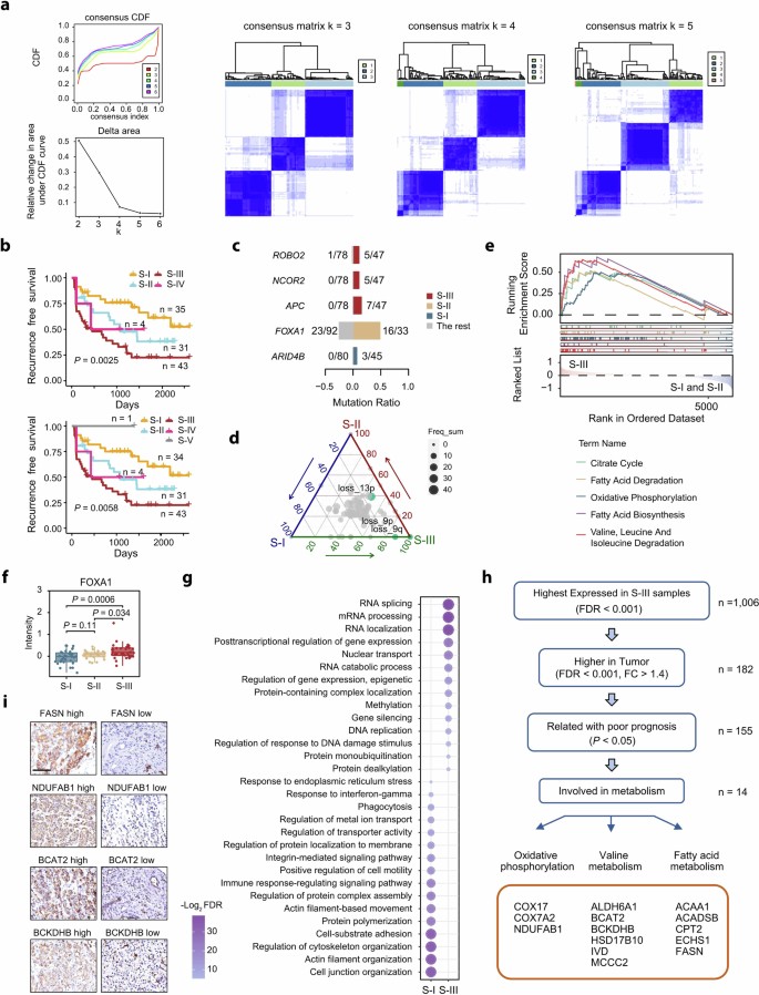 Integrative proteogenomic profiling of high-risk prostate cancer ...