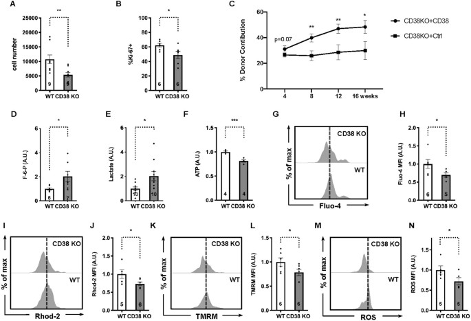 An NAD+-dependent metabolic checkpoint regulates hematopoietic stem ...