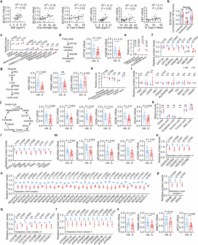 extended data figure 14
