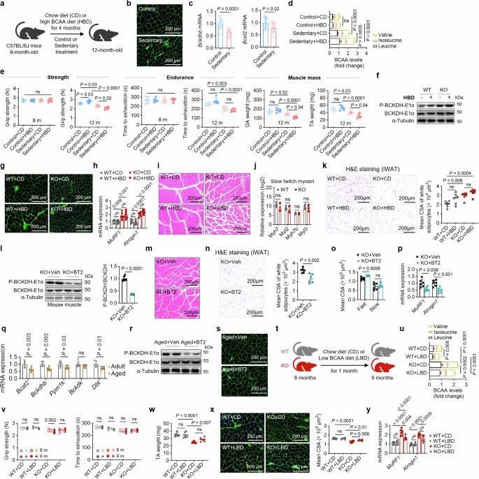 extended data figure 15