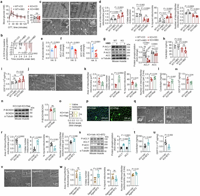 extended data figure 16
