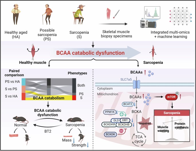 extended data figure 17