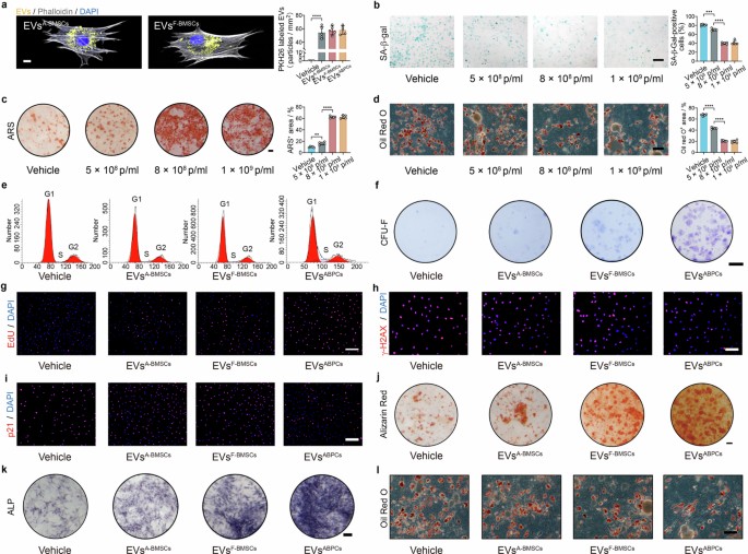 extended data figure 11