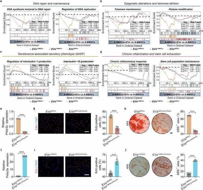 extended data figure 12
