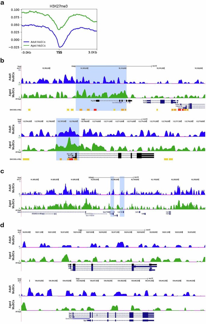 Epigenetic dysregulation in aged muscle stem cells drives mesenchymal ...