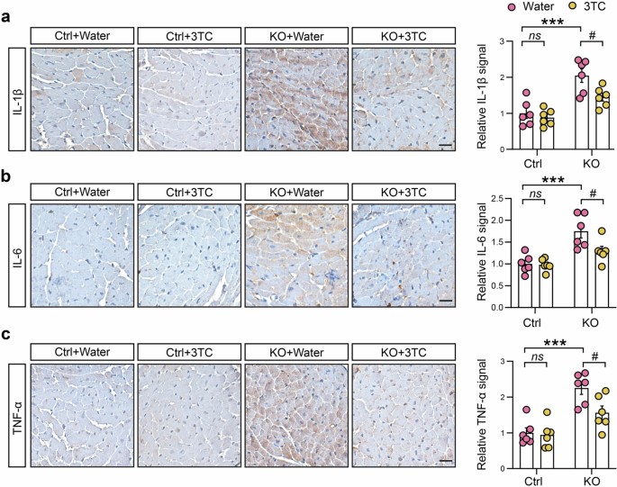 extended data figure 16